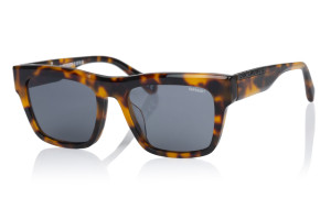 Óculos de sol Superdry SDS-5011 996076 Castanho Tamanho: 54X19   Castanho