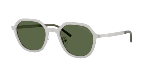 Giorgio Armani Óculos de sol Emporio Armani 0EA2176 Prateados Tamanho: 51X23   Prateados