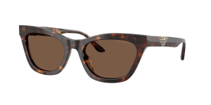 Giorgio Armani Óculos de sol Emporio Armani 0EA4259U Castanho Tamanho: 55X20   Castanho