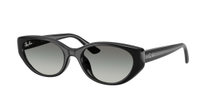 Rayban Óculos de sol Ray Ban 0RB4457D Preto Tamanho: 55X19   Preto