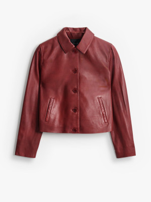 Mohito - Lederjacke - Kastanienbraun - 363HH-83X