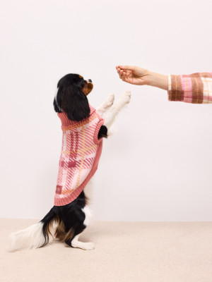Mohito - Hundepullover - Mehrfarbig - L