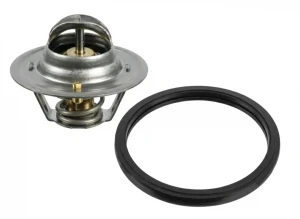 1.4, 1.4 LPG NISSAN NOTE I Termostat BLUE PRINT