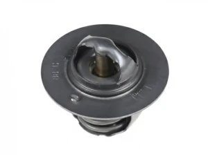 216 ROVER 200 III Termostat MAHLE