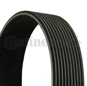 10PK1538 CONTINENTAL CTAM Pasek klinowy wielorowkowy