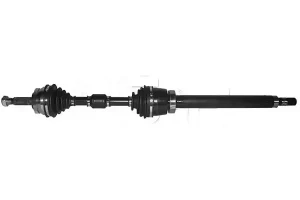 262035 GSP Semiasse