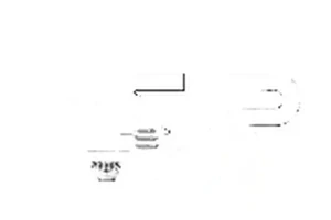 Joint de cardan JAGUAR X-TYPE I 2.1 V6, 2.2 D, 2.0 D GSP