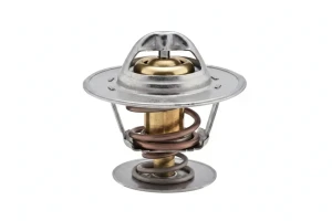 1.6 TD AUDI 90 B3 Termostat EPS