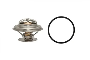 210 2.3 MERCEDES-BENZ T1 601 Termostat EPS