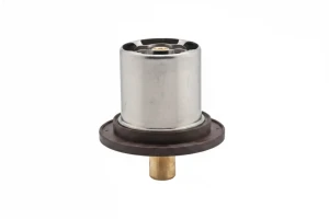 3.0 FIAT ULYSSE Termostat EPS