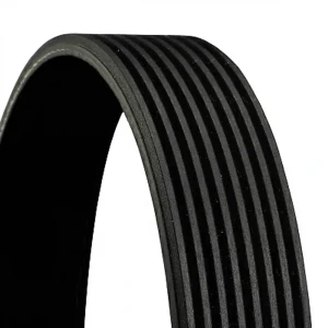 8PK1538 CONTINENTAL CTAM Pasek klinowy wielorowkowy