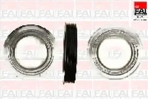 1.4 LPG, 1.1 i, 1.4 CITROËN C3 II Koło pasowe fai autoparts FAI AutoParts