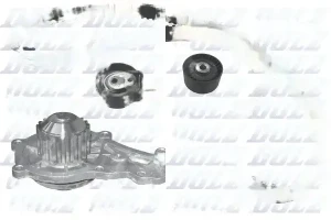 1.6 HDi CITROËN DS4 I Wellenset + wasserpumpe DOLZ