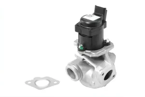 1.6 HDi Zawór egr agr borgwarner (wahler) CITROËN BERLINGO BorgWarner (Wahler)