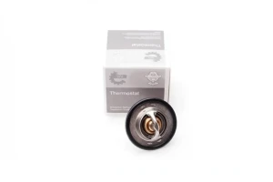 2.0, 1.4 16V, 1.6 16V, 1.6, 2.0 16V RENAULT MEGANE 2 Termostat ESEN SKV