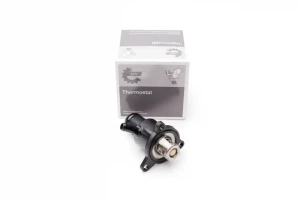 1.6 16V RENAULT LAGUNA II Termostat ESEN SKV