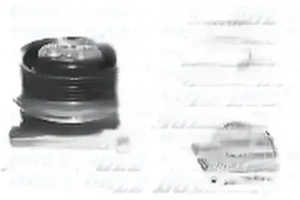 A228V DOLZ Wasserpumpe
