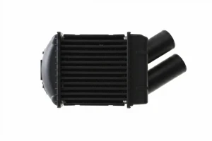 1.9 dCi, 1.9 TDI, 1.9 dTi, 1.9 dT RENAULT MEGANE I Chłodnica powietrza intercooler MAHLE