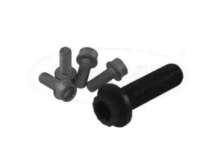 2.0 TDI Śruba koła pasowego VW SHARAN II CORTECO