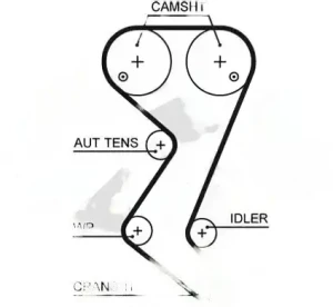 2.0 16V, 1.8 16V CITROËN C5 II Pasek rozrządu GATES
