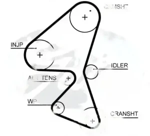 1.6 HDi PEUGEOT EXPERT Pasek rozrządu GATES
