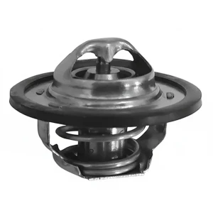 1.4, 1.6 16V RENAULT KANGOO I Termostat DAYCO