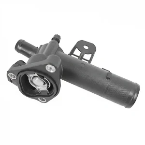 1.5 dCi RENAULT MEGANE II Termostat DAYCO