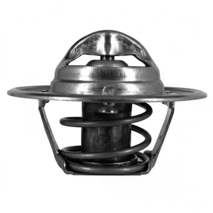 1.5, 1.3 HYUNDAI ACCENT II Termostat DAYCO