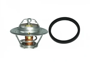 2.5 TRIUMPH 2.5 PI MK I Termostat MAGNETI MARELLI
