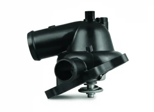 4.2 V8, 6.0 W12 VW TOUAREG I Termostat MAHLE