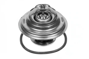 2.3, 2.5 TDI, S6 AUDI A6 C4 Termostat MEYLE
