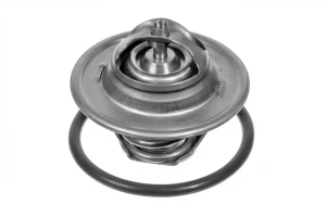 RS 1.8, 1.8 T, 1.6, 2.0, 1.8 SKODA OCTAVIA 1 Termostat MEYLE