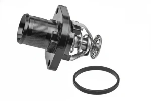 1.8 i, 2.0 i CITROËN C4 I Termostat MEYLE