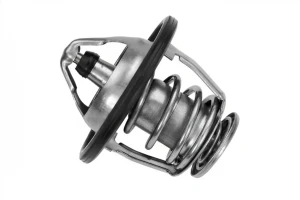 3.0 TD TOYOTA LAND CRUISER J70 Termostat MEYLE