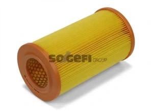 A1009 PURFLUX Filtr powietrza