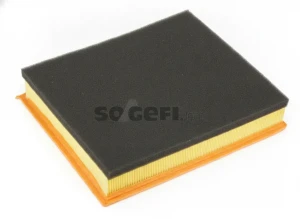 dCI 90, dCi 80 NISSAN INTERSTAR Filtr powietrza PURFLUX