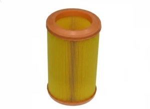 1.6 i, 1.6 LPG, 1.6 e RENAULT MEGANE I Filtr powietrza PURFLUX