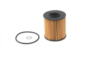 Filtr oleju BMW 3 E46 PURFLUX