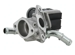 8813 16036 TRISCAN Zawór egr agr