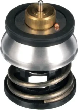 TH64187G1 GATES Termostat