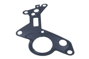 1.4 TDI, 1.9 TDI Uszczelka pompy vacum SEAT IBIZA 3 MAXGEAR