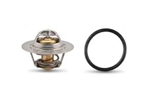 1.9 dTi, D 65, D 55, 1.9 D RENAULT KANGOO I Termostat FACET