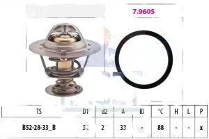2.2 TDCi FORD TRANSIT CUSTOM Termostat FACET