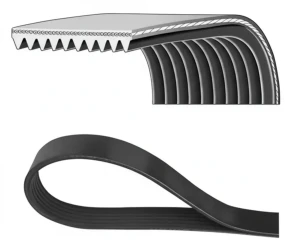 10PK1547HD DAYCO Pasek klinowy wielorowkowy