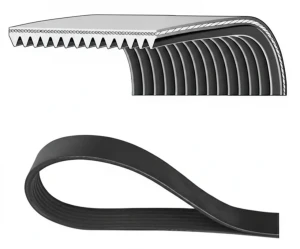 14PK1306HD DAYCO Pasek klinowy wielorowkowy