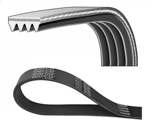 Pasek klinowy wielorowkowy 4pk MAZDA MX-3 1.8 i DAYCO