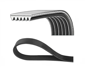 Pasek klinowy wielorowkowy 6pk PEUGEOT EXPERT 1.6 HDi DAYCO