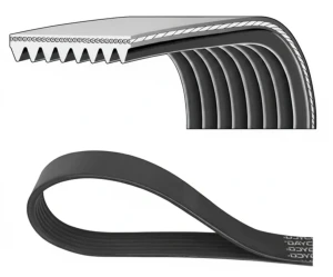 8PK1255HD DAYCO Pasek klinowy wielorowkowy