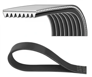 8PK1525HD DAYCO Pasek klinowy wielorowkowy