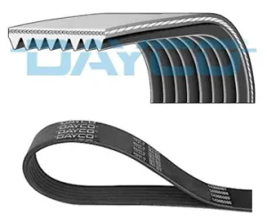 Pasek klinowy wielorowkowy MAN LION´S CITY A 37 DAYCO